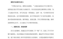 从现在做起、从点滴做起——硬笔书法教学反思(临帖书法孩子做起硬笔书法)