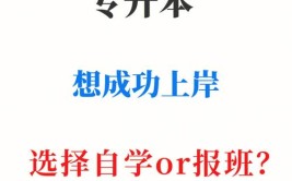 想专升本但是不想报班自学可以吗？