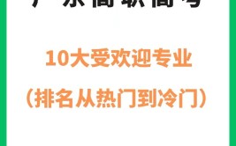 未来10大热门专业是什么