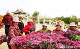 盆鲜花扎根邳州沙沟湖公园