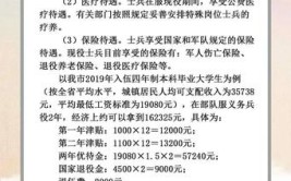 大学毕业后参军需要什么条件