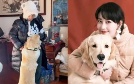 “墩墩”已被李勤勤收养！(爱犬收养离世网友已被)