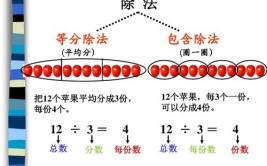 被除数是分子还是分母