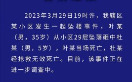 西安南郊一小区一男子高层装空调失足坠亡(坠楼空调失足小区南郊)