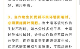 如何正确使用叶面肥才能让作物发挥出最好的促长增收效果