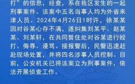 这几天已被警方刑事立案(立案已被这几天很深警方)