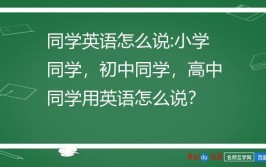 同学们好用英语怎么写