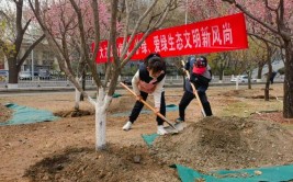 来为汉中添新绿！报名方式→(植树活动全民林业局义务)