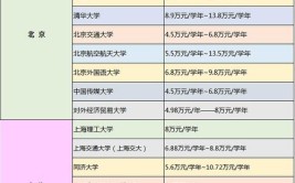 华中科技大学中外合作办学学费多少钱一年