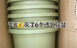 陶瓷盆使用的正确姿势增加透气才能避免闷根瓷盆使用两点建议