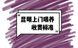 为什么按处收费？@抖音短视频(划痕这家局部汽车收费)