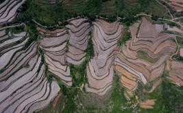 甘肃定西“旱塬新韵”梯田满沟壑：土不下山 泥不出沟(梯田定西水土流失沟壑水土保持)