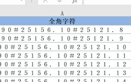 考研报名半角字符是什么意思