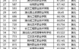 湖北专科学校排名及分数线