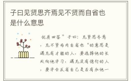 见贤思齐焉见不贤而内自省也是什么意思