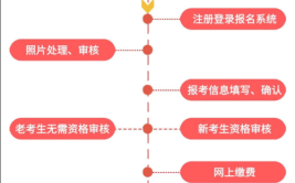 二级建造师该怎么报考？