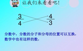 分子和分母怎么区分