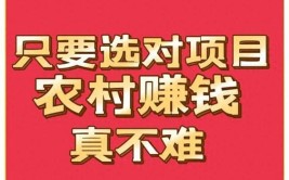 赚钱真的不难！(农业生态园沼气生态农业不难)