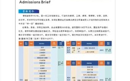 山东科技大学2020年普通高等教育招生章程