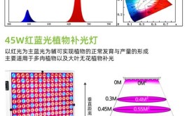 植物补光灯植物生长灯与普通照明灯的区别体现在哪