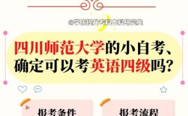 小学文化可以报考成人大学吗