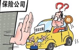 车主打官司获法院支持(原告被告事故理赔车辆)