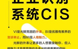 企业cis是什么意思