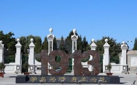 大同煤炭职业技术学院是公办还是民办大学？