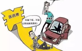 找代驾遇车祸昏迷多日 家属求助：谁来垫付治疗费用？(垫付司机费用保险公司张女士)