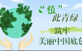 时评爱绿植绿护绿 筑牢美丽中国亮丽底色