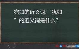 宛若和宛如的区别