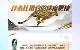 什么比猎豹的速度更快是什么体裁