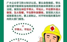 森林防火  高温炎炎这份森林防火攻略请收下