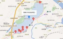 西南大学有哪几个校区及校区地址公交站点