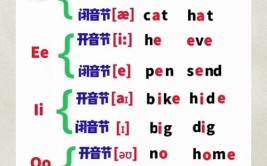 5个元音字母是哪几个