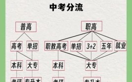 《普高 vs 职高：教学内容与课程设置的大不同》(职高教学内容自己的课程设置普高)