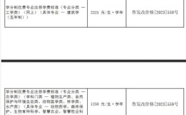 山东青年政治学院中外合作办学学费多少钱一年