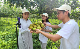 触摸乡村振兴的强劲脉搏(夏布人民网青年生漆野生动物)