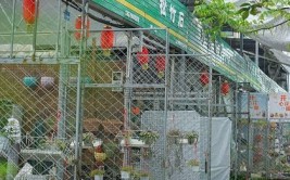 鲜花自由都江堰这些宝藏花市把春天打包带回家