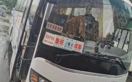 速看！洛川客运线路恢复运营啦！ 旅客可提前网络购票(旅客购票客运恢复运营)