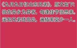 每逢佳节倍思亲的上一句和下一句是什么