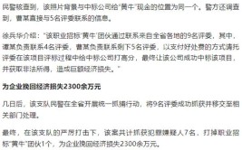 安徽省公安厅通报7起经济犯罪典型案例 包括明光特大串通投标案(犯罪嫌疑人等人有期徒刑张某涉案)