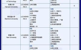 八大藤校斯坦福芝加哥等最受欢迎的专业有哪些