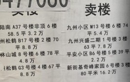 2万元一套房子消失(万元房价购房新闻记者房子)