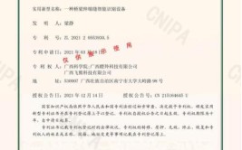 喜获一级建造师证书摸索出工程类考试的套路一通百通