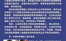 还有33人看到立即报警！(到案警官悬赏汉族万元)