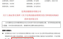 浙江德宏汽车电子电器股份有限公司风险提示公告(公司市盈率股份有限公司证券日报公告)