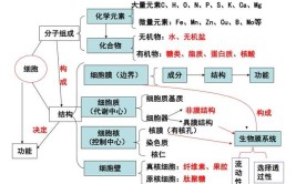 构成细胞的基本物质是什么