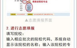 2024单招第一志愿没录取怎么办