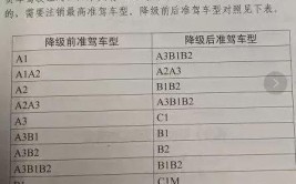 看完这一篇就够啦(驾驶证降级这一换证车驾)